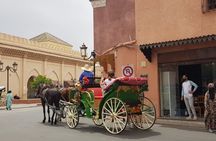 Full-day Marrakech Trip from Essaouira