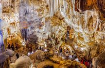 Halong Bay full-day excursion from Hanoi