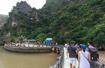 Halong Bay full-day excursion from Hanoi