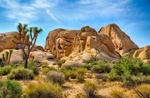 Joshua Tree national park self-driving audio tour