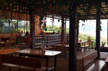 Arenal Volcano and hot springs guided with meals from Guanacaste