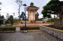 Full-day Mekong Delta guided tour from Ho Chi Minh with lunch