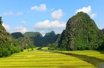 Full-day guided tour from Hoa Lu to Tam Coc with lunch