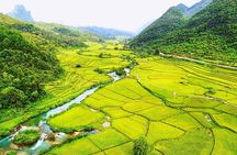 Full-day guided tour from Hoa Lu to Tam Coc with lunch
