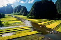 Full-day guided tour from Hoa Lu to Tam Coc with lunch