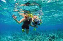 Albatros Beach Club Isla Mujeres Ticket