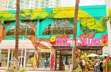 Miami Coconut Grove Downtown guided tour