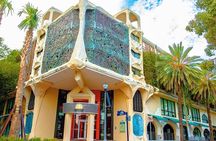 Miami Coconut Grove Downtown guided tour