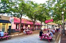 Miami Coconut Grove Downtown guided tour