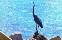 Miami South Point Park guided tour