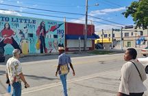 La Perle de Miami Little Haiti guided tour
