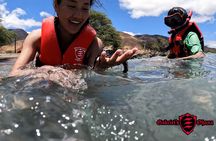 Ocean kayak and reef snorkeling tour in Olowalu