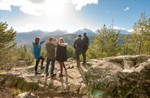 Whistler, Shannon Falls and Sky Gondola tour from Vancouver