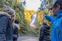 Whistler, Shannon Falls and Sky Gondola tour from Vancouver