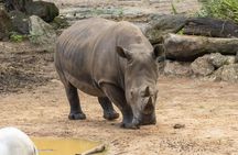 Admission to Brevard Zoo in Melbourne