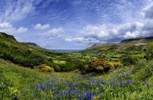 Giants Causeway, Dunluce castle, Dark Hedges tour from Dublin