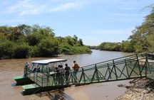 Jungle river cruise at Palo Verde National Park