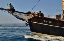 Bussard Classic 4 hour excursion