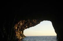 Flipper tour with whale watching & visit of the new lava delta