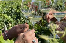 Grands Crus tour in e-Mehari and Chablis wine tasting