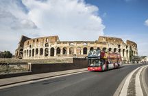 24 or 48-hour hop-on hop-off bus + official Saint Peter's Basilica audioguide