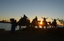 Camel ride with barbecue in Agadir