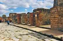 Day tour to Pompeii from Naples