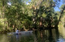 Clear Canoeing at Silver Springs Florida