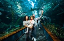 Loro Parque Diamond Entry Tickets