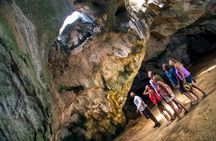 Aruba caves and snorkel off-road safari