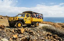 Aruba half-day private off-road tour