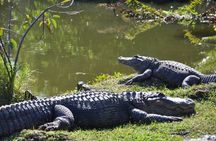 Everglades airboat adventure tour with transportation