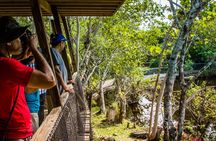 Everglades airboat ride with Biscayne Bay boat tour and transportation