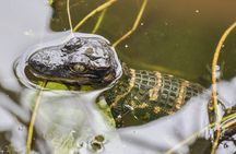 Everglades airboat ride with Biscayne Bay boat tour and transportation