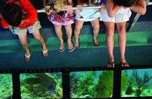 Key West day trip with glass bottom boat ride