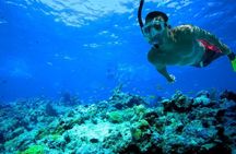 Key West day trip with snorkeling from Fort Lauderdale