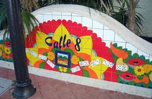 Miami city tour and Biscayne Bay boat tour