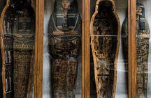 Field Museum of Natural History tickets and audio tour