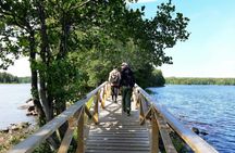 Full-Day Liesjärvi National Park Tour