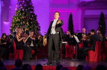 Christmas Market visit and Classical Concert at Schoenbrunn Palace