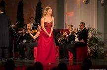 Christmas Market visit and Classical Concert at Schoenbrunn Palace