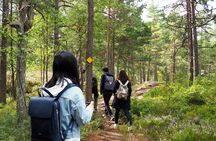 Archipelago excursion from Helskinki