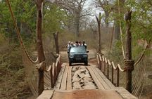 Bandia half-day safari from Saly or Somone