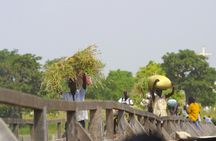 Fadiouth seashell island guided tour from Saly