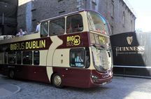 Big Bus panoramic night tour of Dublin