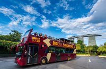 Big Bus panoramic night tour of Singapore