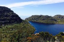 Cape Town Table Mountain 5 hour Hike along the Kasteelpoort Route