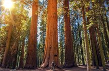 Sequoia and Kings Canyon National Park self-guided driving audio tour