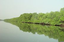 Bush & Saloum Delta full-day guided tour from Pointe Sarène