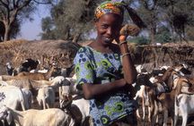Bush & Saloum Delta full-day guided tour from Pointe Sarène